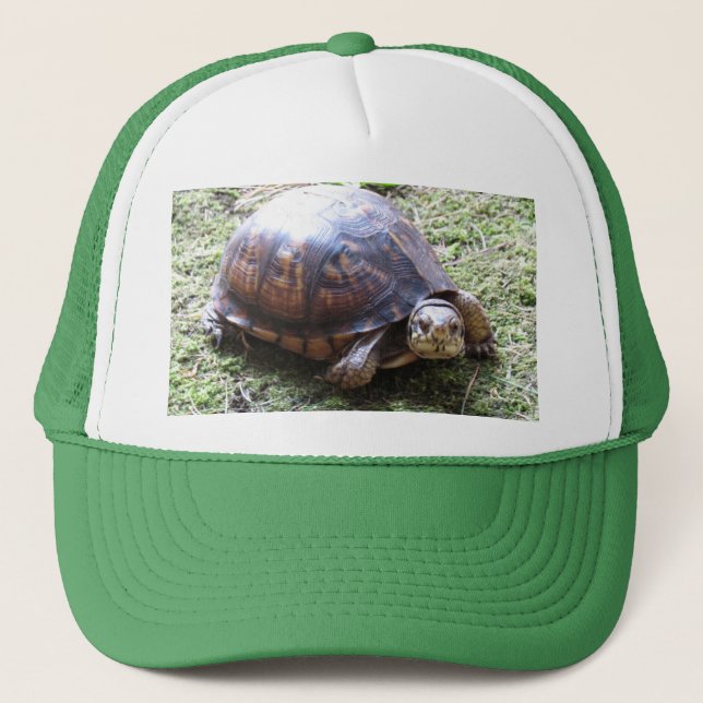 Casquette Tortue à boîte - Chemin Mossy (Devant)
