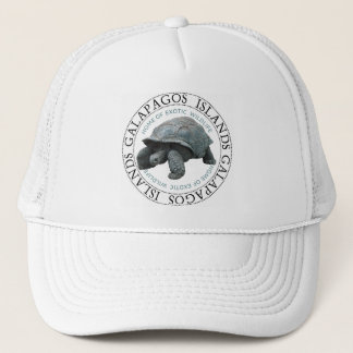 Casquette Tortue des îles Galapagos