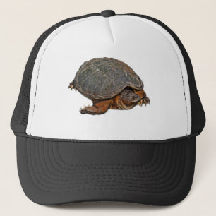 Casquette Tortue serpentine Terrapin-lover Cadeau