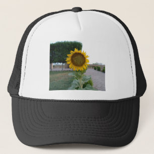 Casquette Tournesol