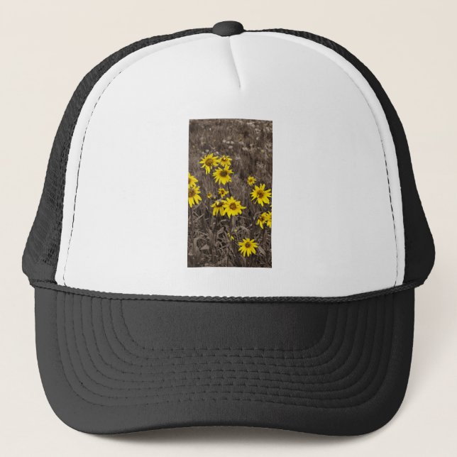 Casquette Tournesol dans la Montagne Rocheuse (Devant)