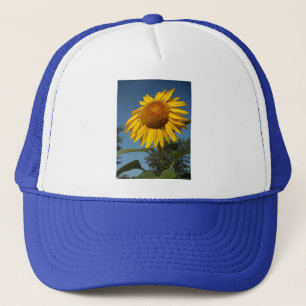 Casquette Tournesol du matin