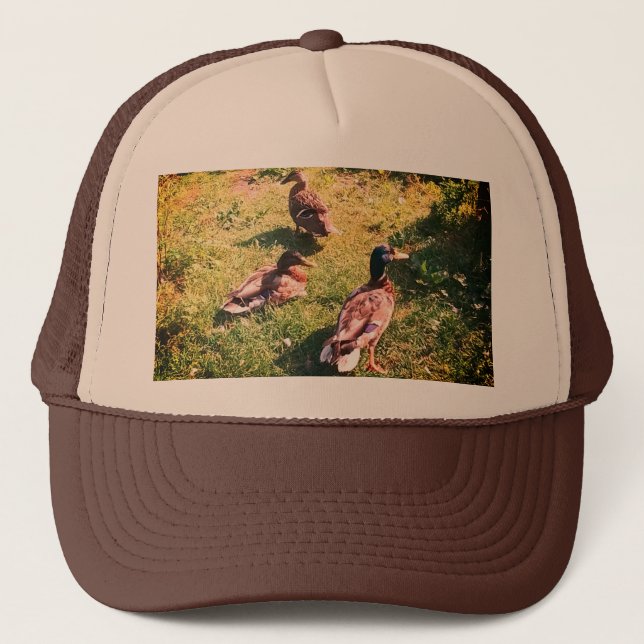 Casquette Trois canards (Devant)