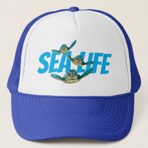 Casquette Trois tortues de mer "vie marine "
