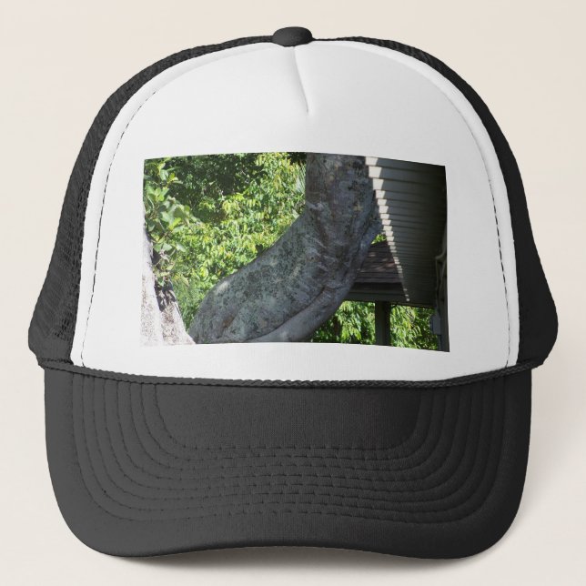 Casquette tronc d'arbre tordu (Devant)
