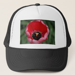 Casquette Tulip