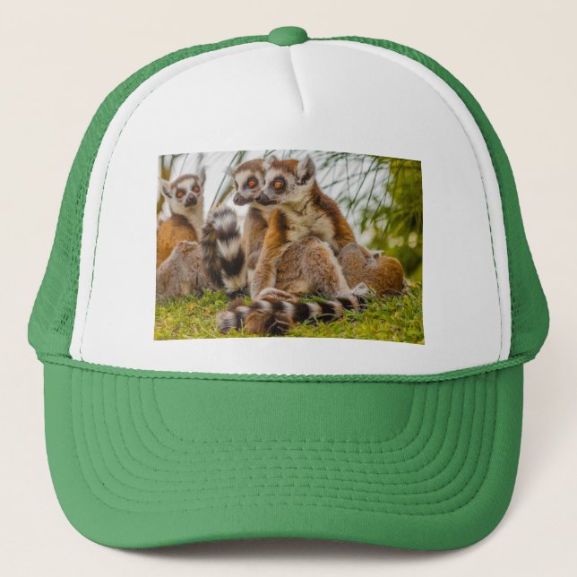 Casquette un lemur mâle embrasse sa femelle sur un chapeau d (Devant)