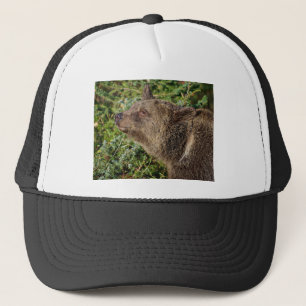Casquette Un ours gris de sourire