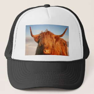 Casquette Vache des montagnes écossaise - Ecosse
