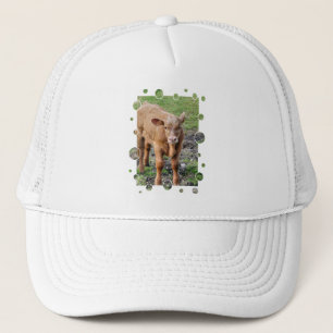 CASQUETTE VACHES