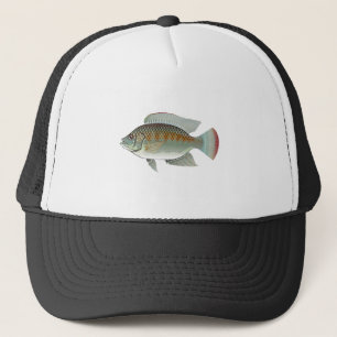 Casquette Vecteur de poissons de Tilapia de fruits de mer