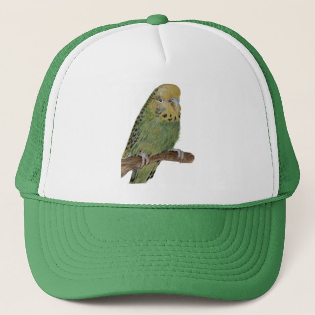 casquette vert d'art de perruche (Devant)