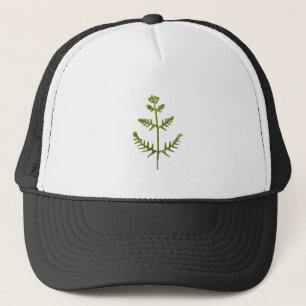 Casquette vert de printemps