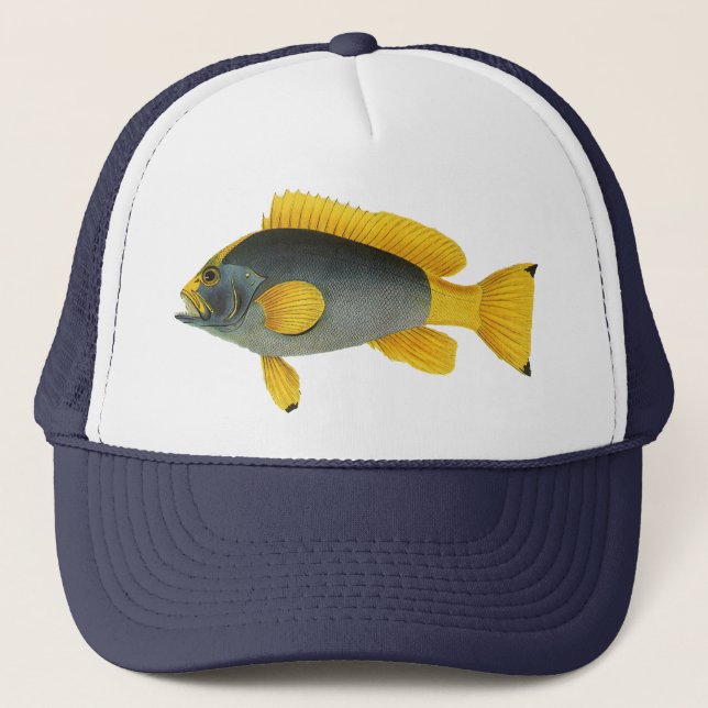 Casquette Vieille illustration de la vie marine aquatique de (Devant)