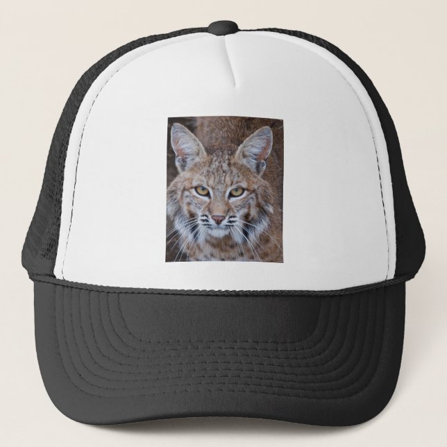 Casquette Visage de chat sauvage (Devant)
