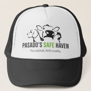 Casquette Vitesse de sanctuaire