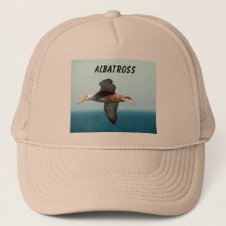 Casquette Vol d'albatros