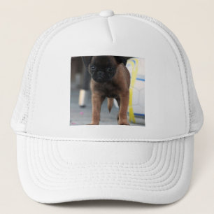 Casquette vue frontale de bruxelles griffon