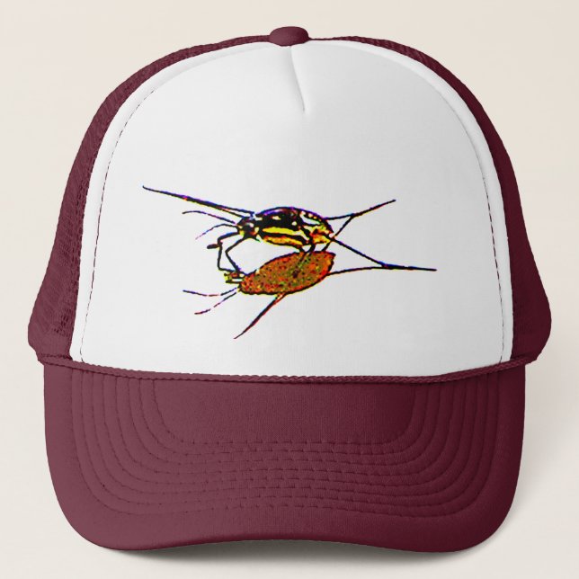 Casquette Water Strier voit son ombre (Devant)