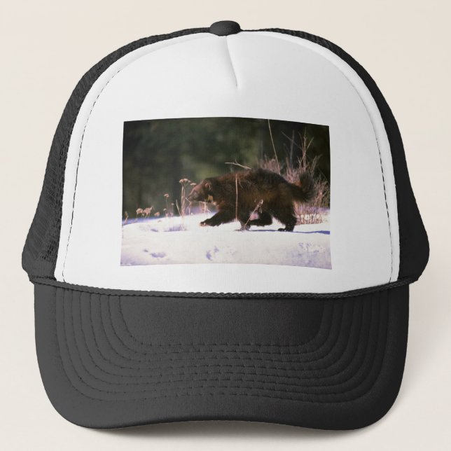 Casquette Wolverine fonctionnant par la neige (Devant)