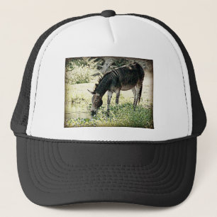 Casquette "Zedonk"