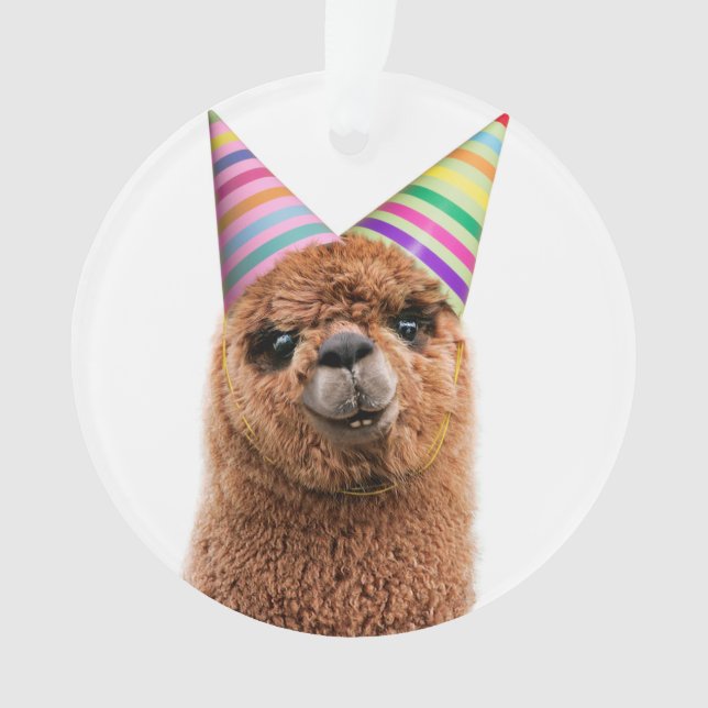 Casquettes du parti Alpaca (devant)