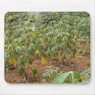 Cassava Plantation Mousepad