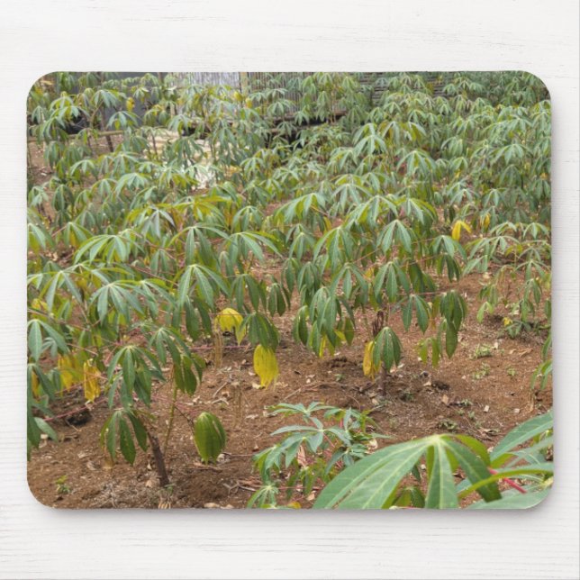 Cassava Plantation Mousepad (Vorne)