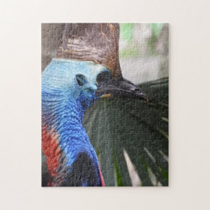 Cassowary-Puzzlespiel