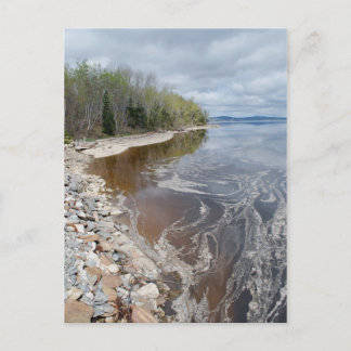 Castine Postcard - 1 Postkarte