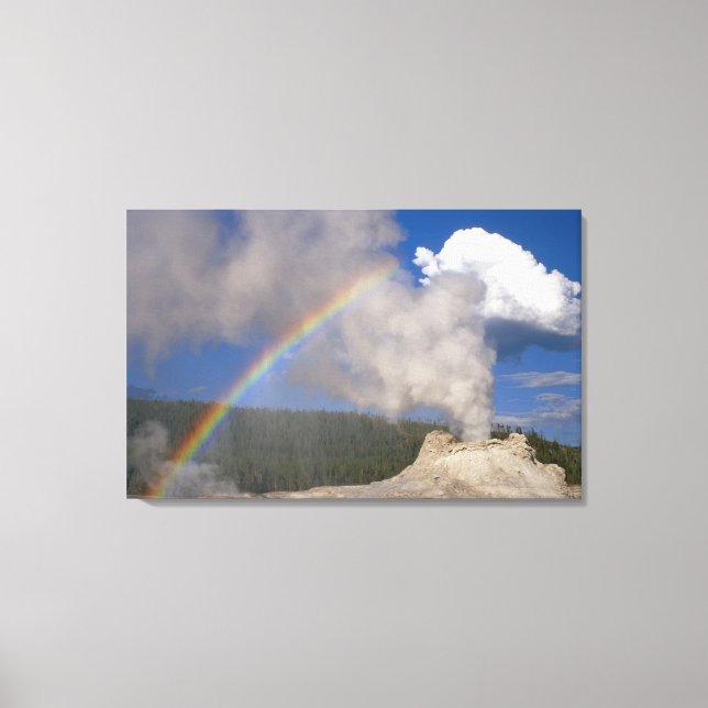 Castle Geyser mit Rainbow, Yellowstone National P Leinwanddruck (Vorderseite)