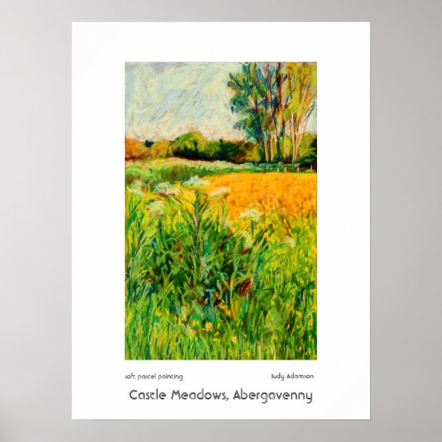 Castle Meadows, Abergavenny Print or Poster (Vorne)