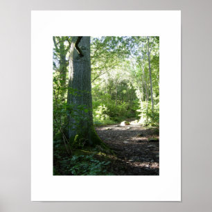 Castlehead Wood: Keswick Poster