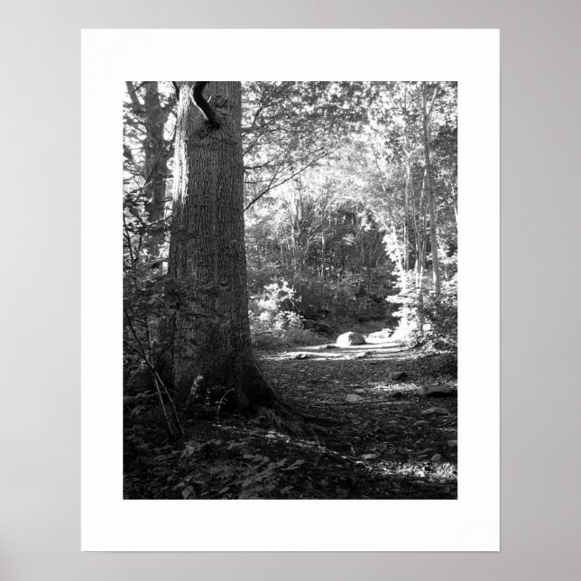 Castlehead Wood: Keswick Poster (Vorne)