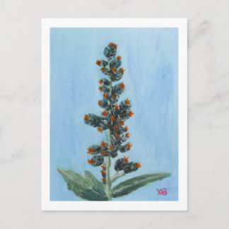 Castor Bean Plant Postkarte