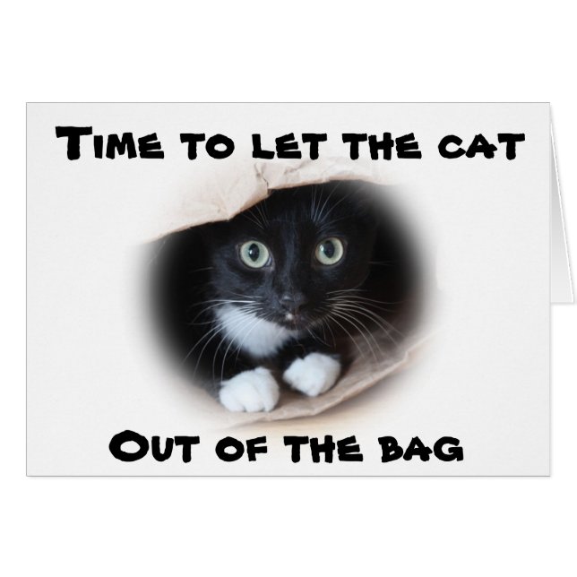 Cat (Devant horizontal)