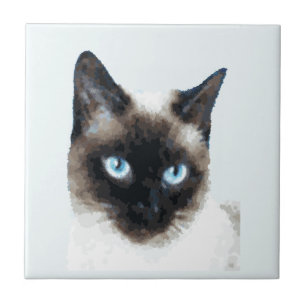CAT 11 FLIESE