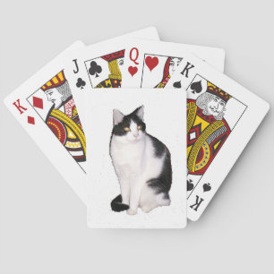 Cat 12 Cartes de Jeu