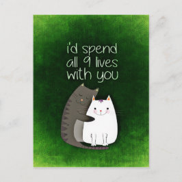 cat-859033.jpg postkarte