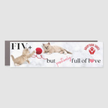 Cat Adoption Rette Car Magnet
