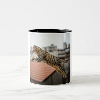 Cat Adventure Tasse