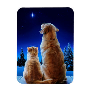 Cat and Dog Christmas Wunder Magnet