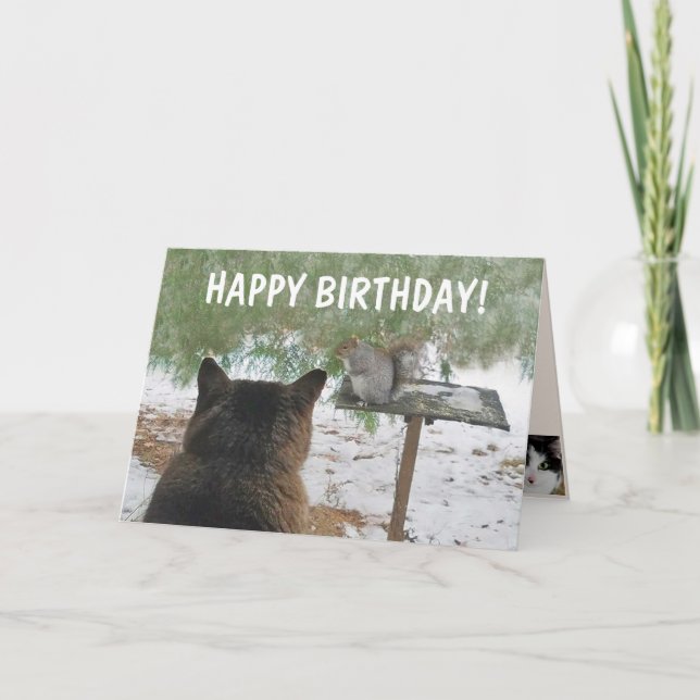 Cat and Eichhörnchen Funny Birthday Karte (Vorderseite)