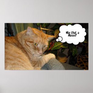 Cat and Mouse Spaß Poster