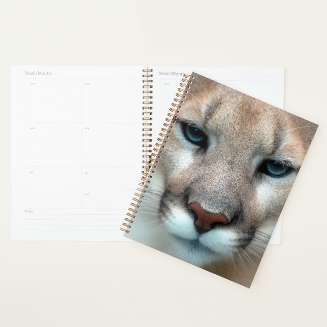 Cat Animal Destiny von Cougar Mountain Lion Planer (Anzeige)