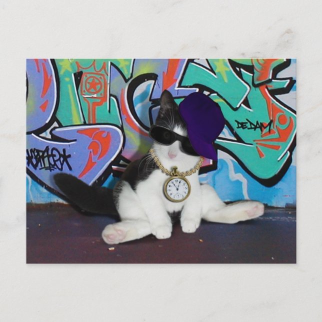 Cat Attitude.........Cat-itude! Postkarte (Vorderseite)