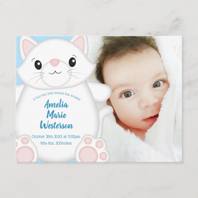 Cat Baby Shower Kitty Blue Postkarte (Vorderseite)