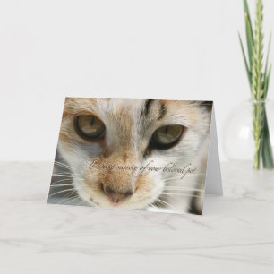 Cat Beileid Card Karte