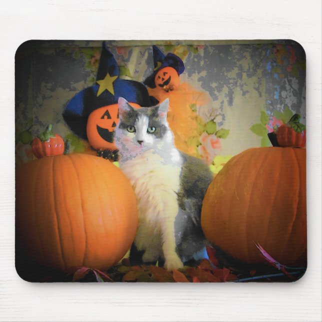 Cat Between Pumpkins Mousepad (Vorne)