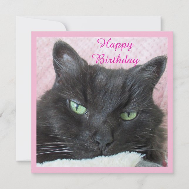 Cat Birthday Card (Vorderseite)